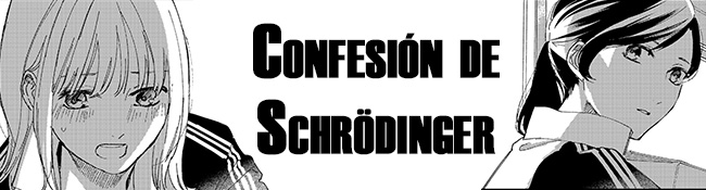Confesión de Schrödinger
